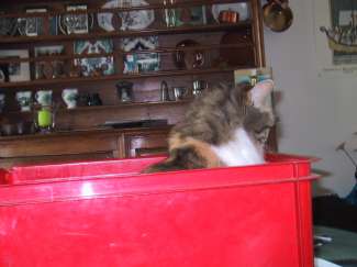 IMG_1297.JPG